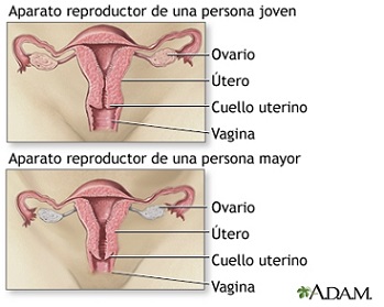 sntomas de la menopausia