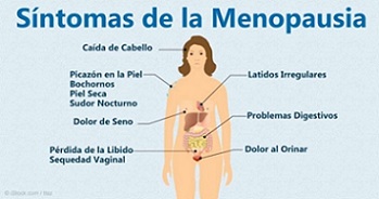 sntomas ms comunes de la menopausia